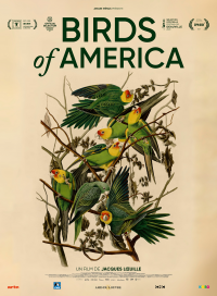 Birds of America streaming