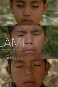 Eami, la mémoire de la forêt